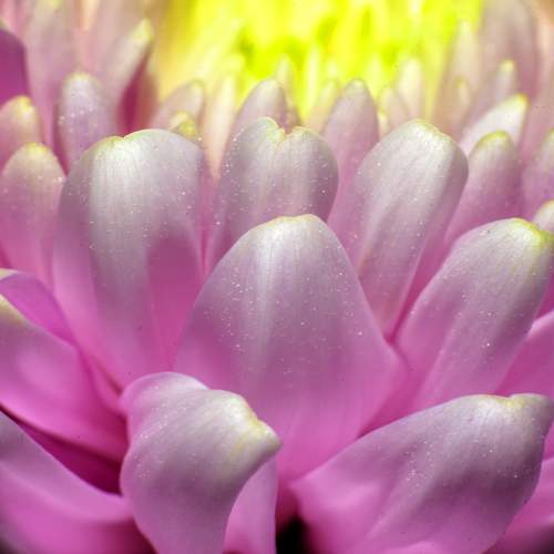 Photo #9730901
