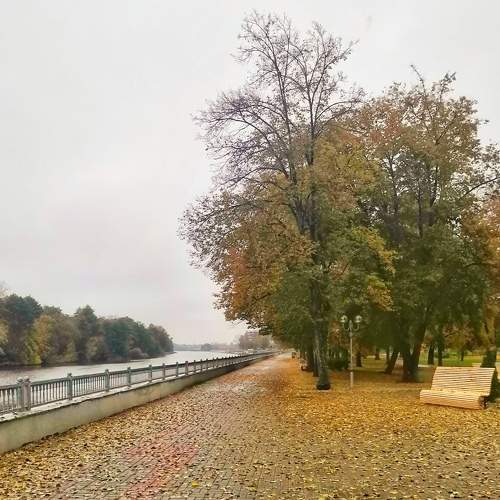 Photo #9731252