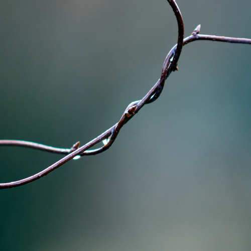 Photo #9731904