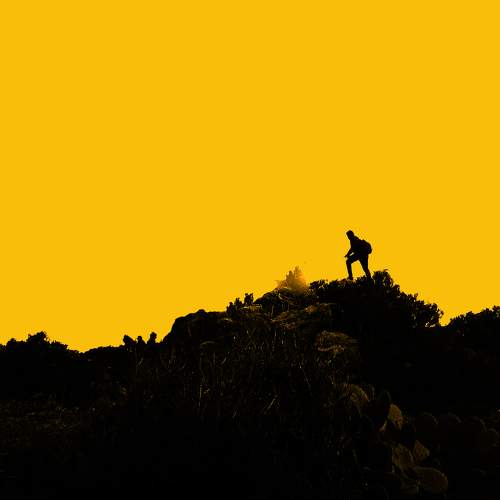 Photo #9732009