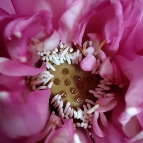 Photo #9732285