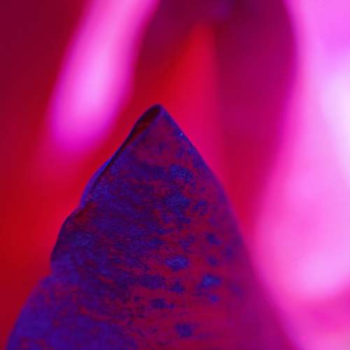 Photo #9732404