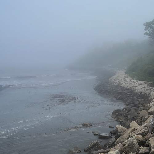 Photo #9732428