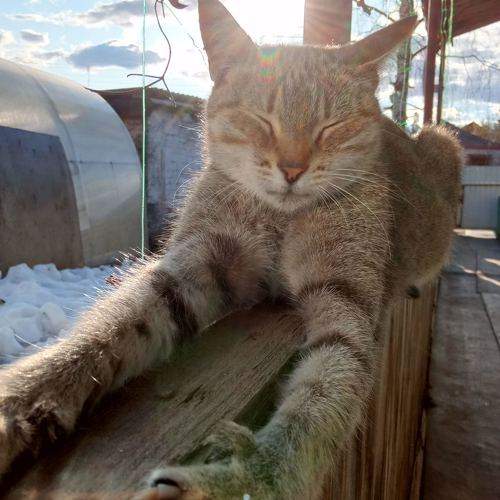 Photo #9733381