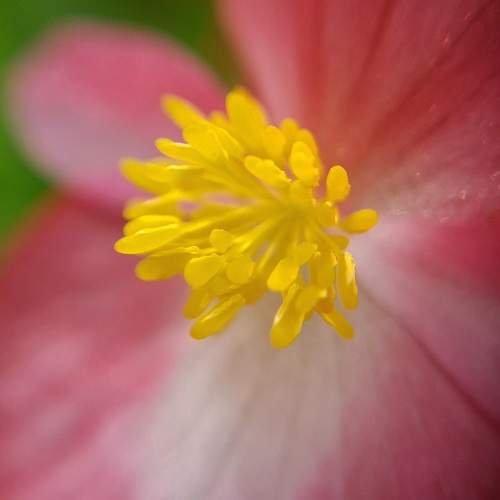 Photo #9733594
