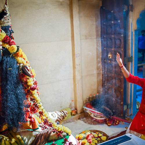 Photo #9733668