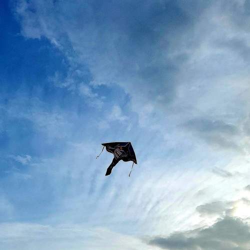 Photo #9733828