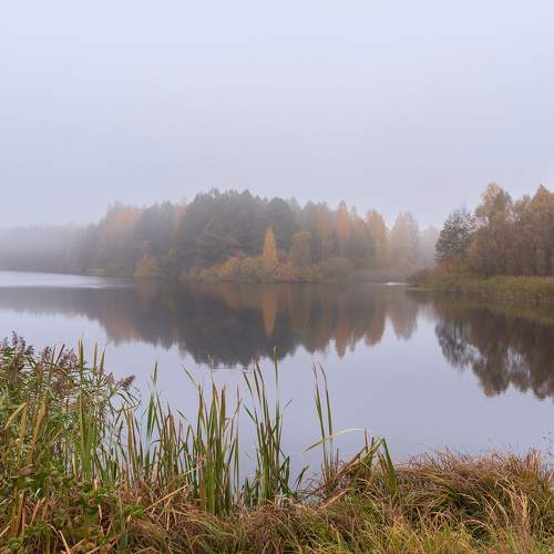 Photo #9733871