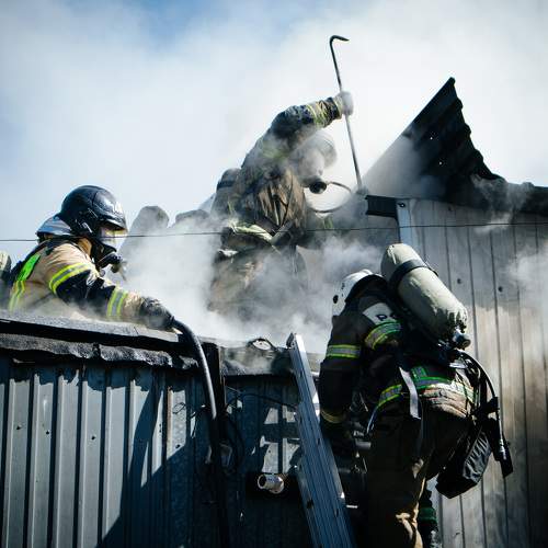 Photo #9733884