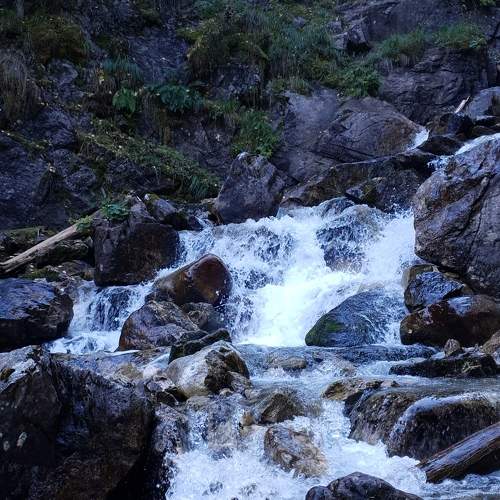 Photo #9733944