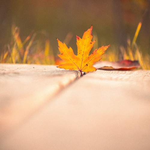 Photo #9734003