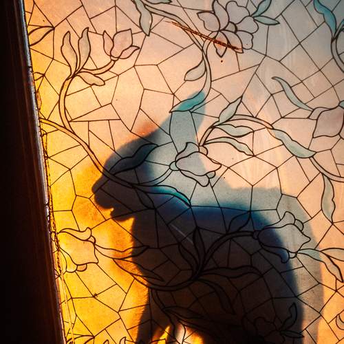 Photo #9734135