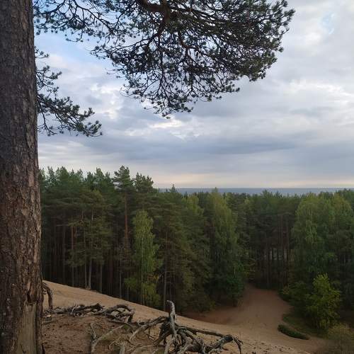 Photo #9734196