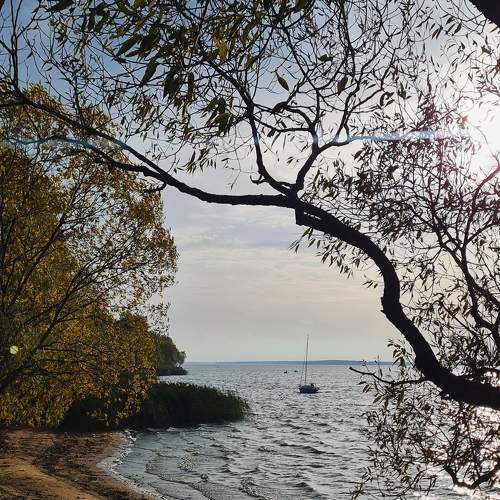 Photo #9734493