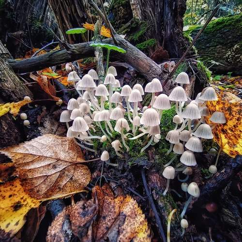 Photo #9734555