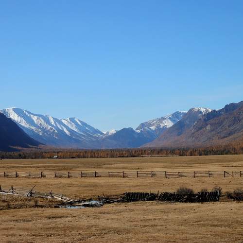Photo #9734590
