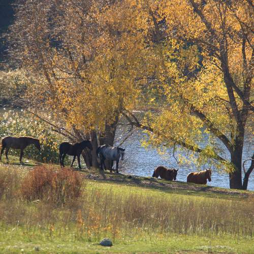 Photo #9734700
