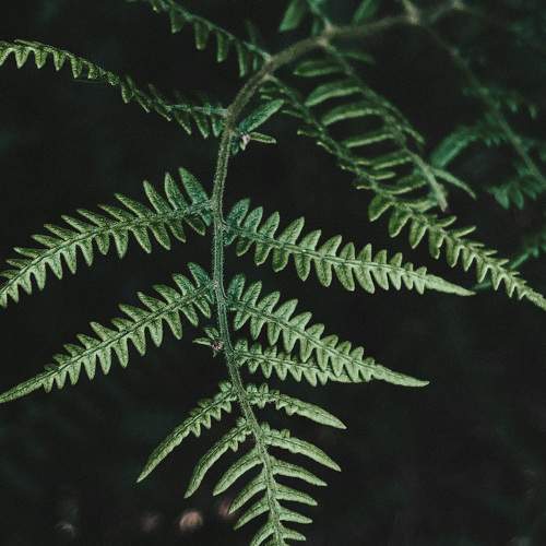 Photo #9735341