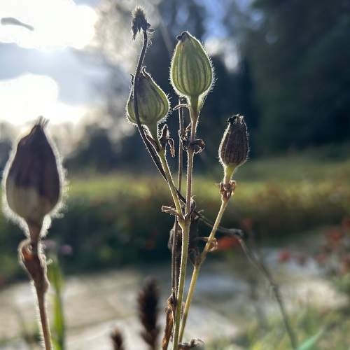 Photo #9735344