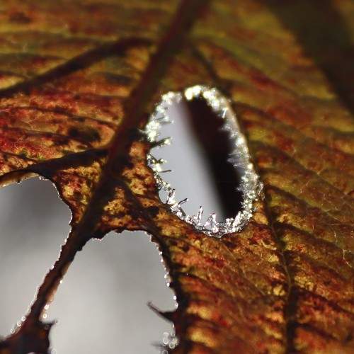 Photo #9735484
