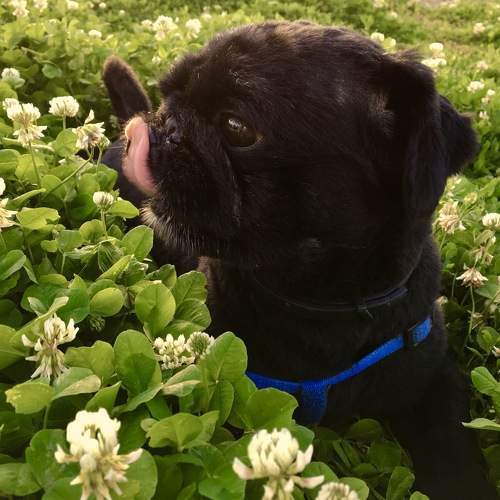 Photo #9735879