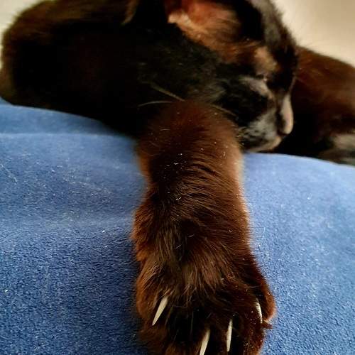 Photo #9735898