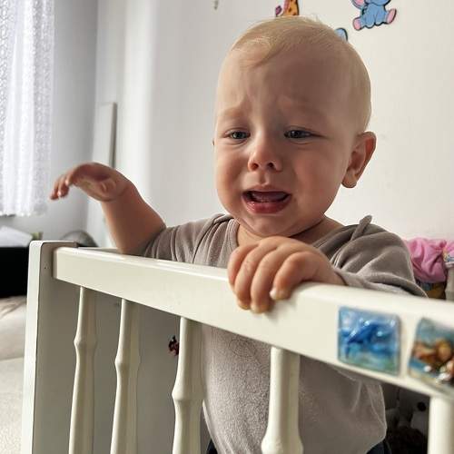 Photo #9735935