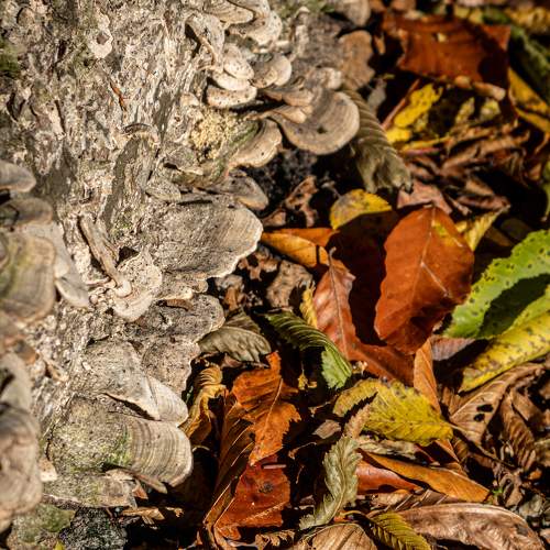 Photo #9736028