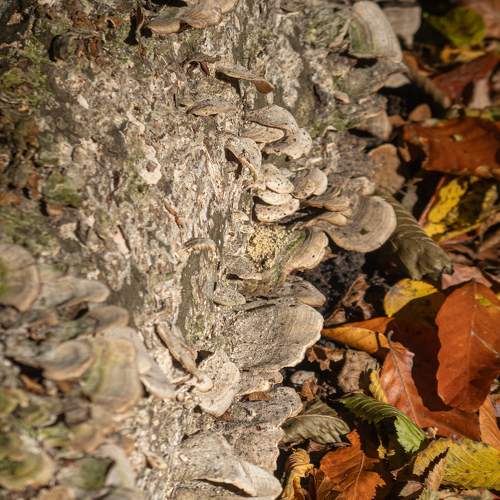 Photo #9736029