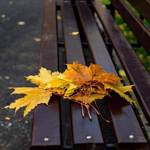 Photo #9736346