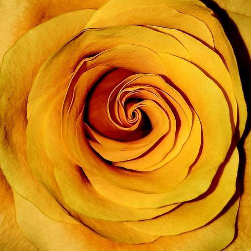 Photo #9736608