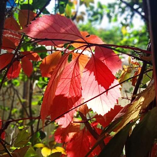 Photo #9736719