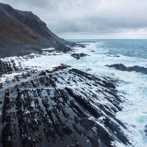 Photo #9736979