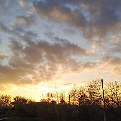 Photo #9737675
