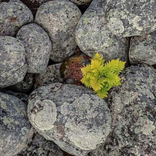 Photo #9737824