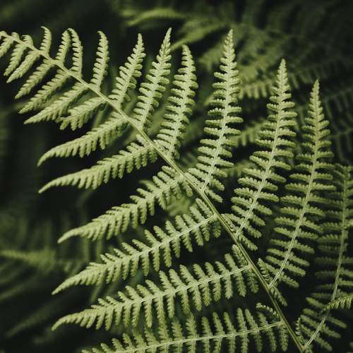 Photo #9738038
