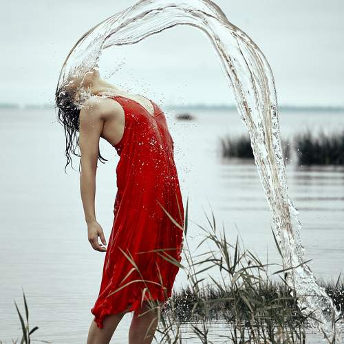 Photo #9738324