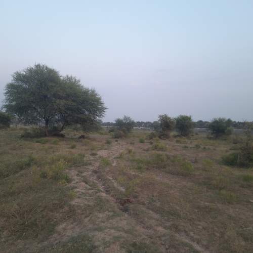 Photo #9738523