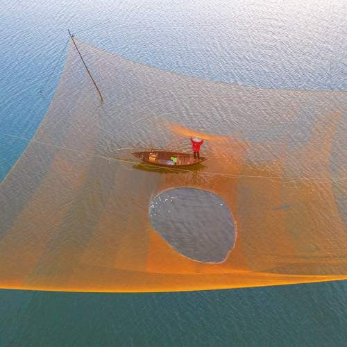 Photo #9738714