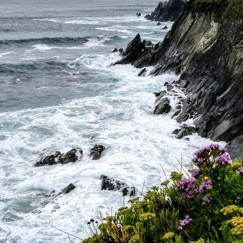 Photo #9739137