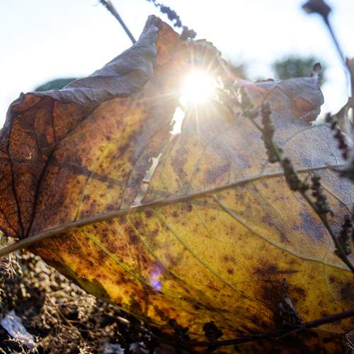 Photo #9739146