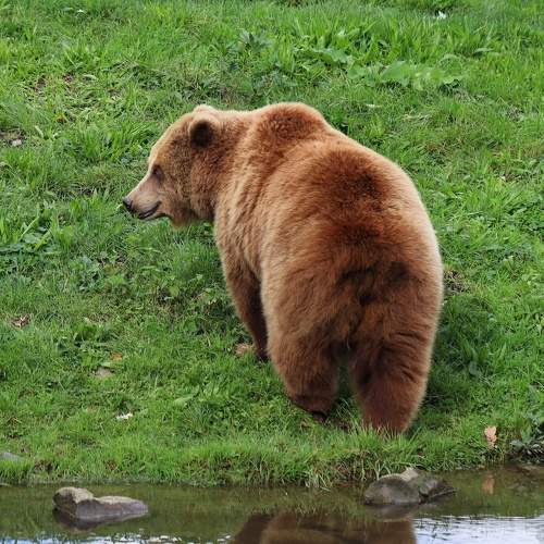 Photo #9739443