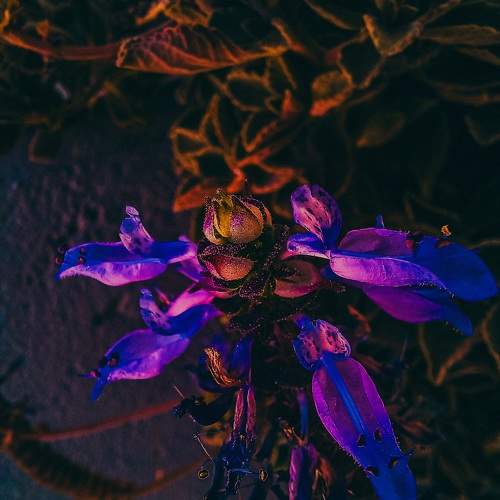 Photo #9741187