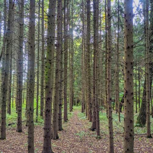 Photo #9741592