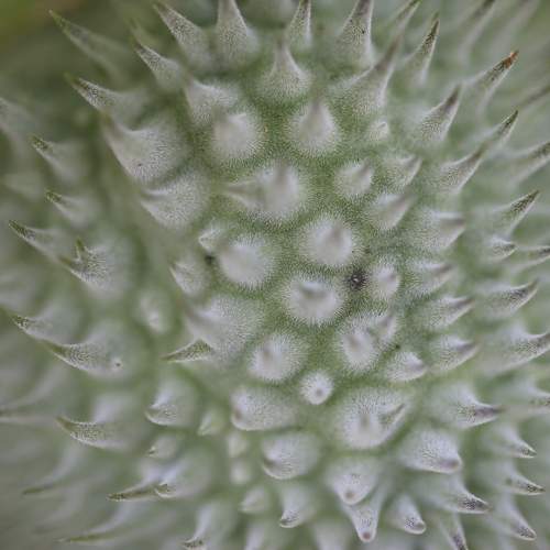 Photo #9741785