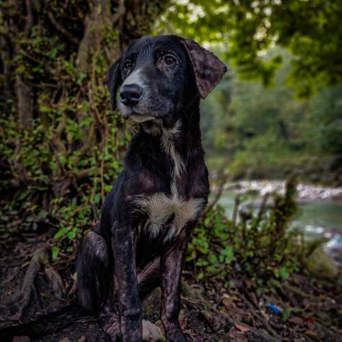 Photo #9741786