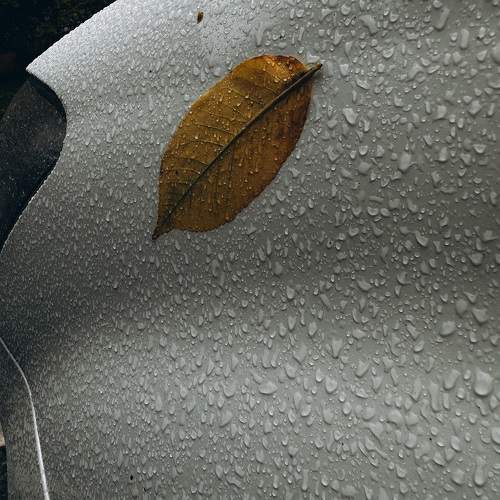 Photo #9741946