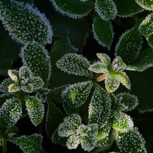 Photo #9742245