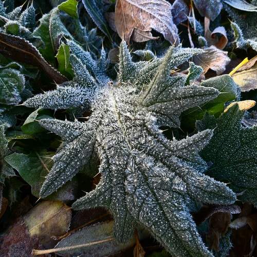 Photo #9742247
