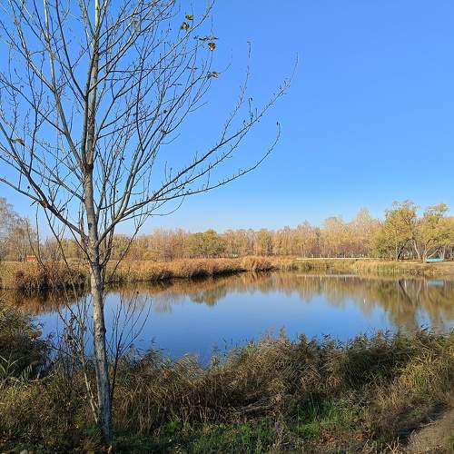 Photo #9742377